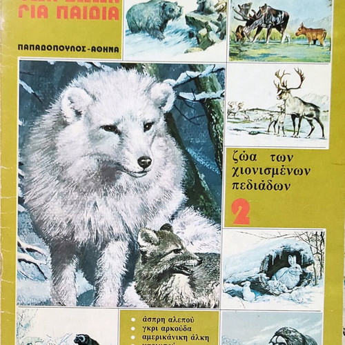 Children's book set about animals, pack of 6
