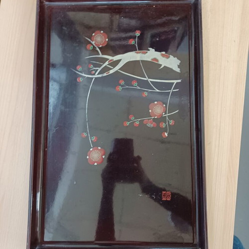 Chinese plastic serving tray used, 48×31 cm