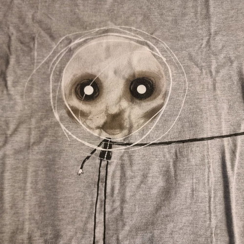 Steven Wilson T-shirt 2013 Gildan gray, like new, size Large