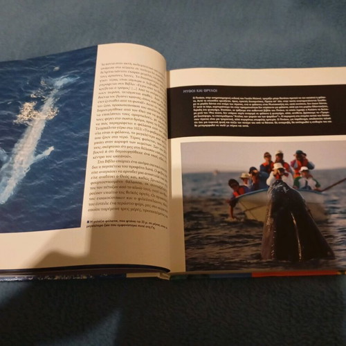 Whales, dolphins and sea mammals like new