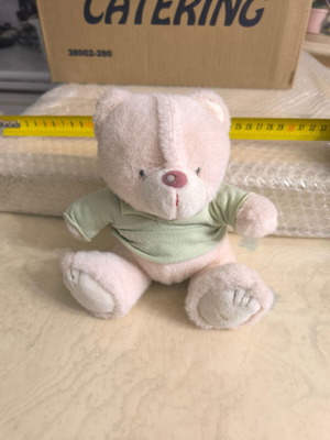 Stuffed bear with clothing like new TDB1012