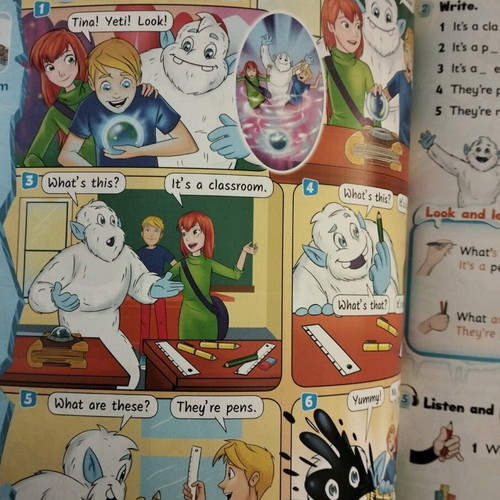 Yeti and Friends Junior Pupil's Book new with picture dictionary