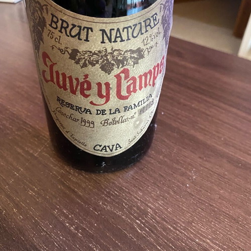 Juve y Camps Brut Nature Cava 1999 vintage, new