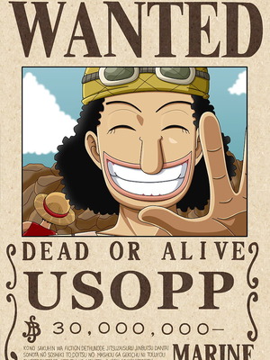 Αφίσα One Piece Wanted καινούργιο