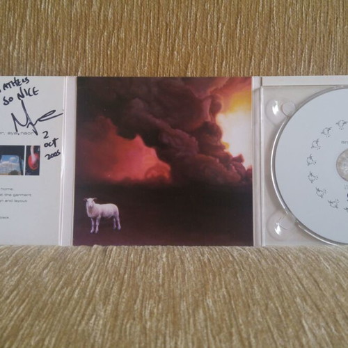 27 Animal Life CD and white 5" vinyl signed, new