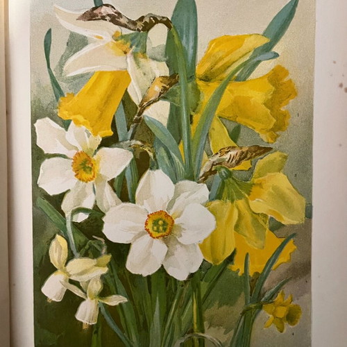 The Flower Grower's Guide used, John Wright, 1897 edition