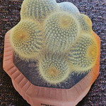 Mouse pad new with cactus design