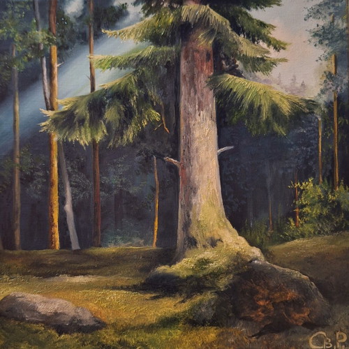 In the Forest Oil Painting on Canvas 40x40, New