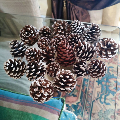 Decorative pine cones like new, pack of 21 pieces