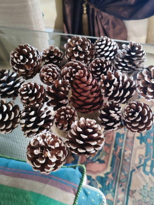 Decorative pine cones like new, pack of 21 pieces