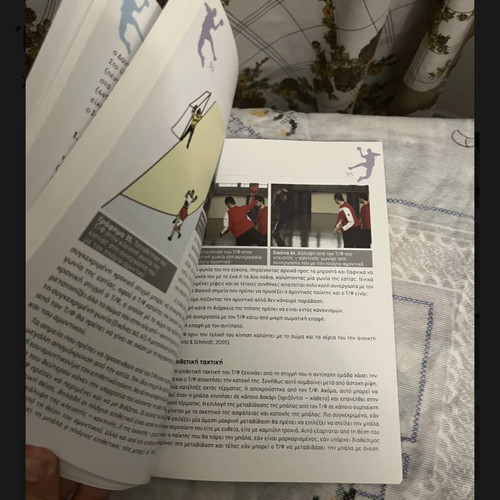 TEFAA Handball Book like new, goalkeeper technique and training