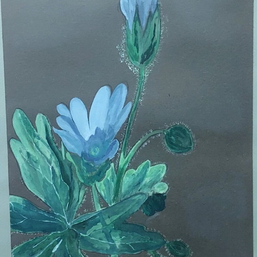 Painting with glass like new, signed