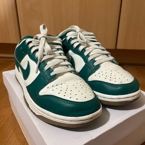 Nike Low Dunk Sneakers like new, size 39, multicolor