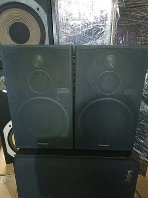 Technics SB-X100 standing speakers like new