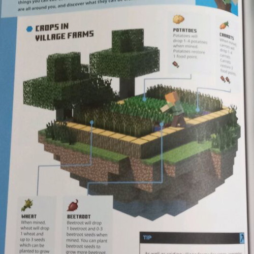 Minecraft for Beginners book new, hobby