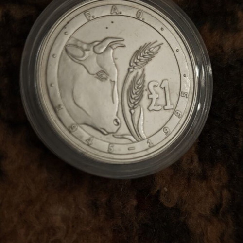 Cyprus 1 Pound Coin 1995 FAO Like New