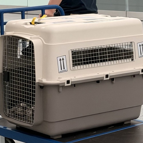 Savic Feria Andes dog carrier IATA, like new