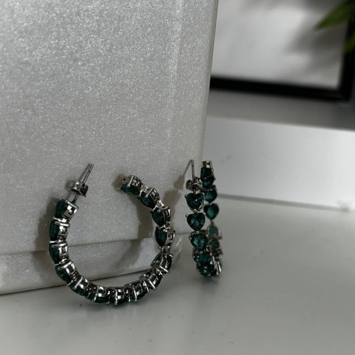 Loisir earrings new, never worn