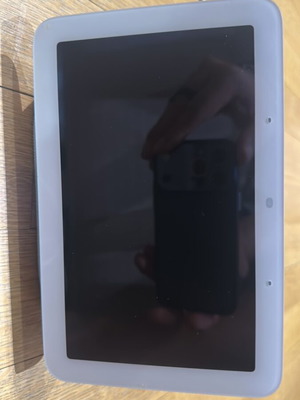 Google Hub and Nest smart home devices