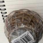 Basket with seashells new