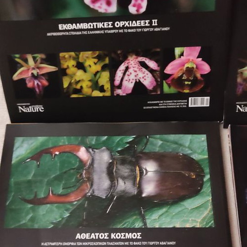 Explore Nature album used, pack of 4 volumes