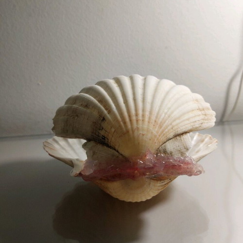 Decorative shell new, handmade with real shell
