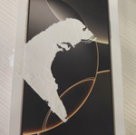 Iphone 16Pro Max box used, natural titanium