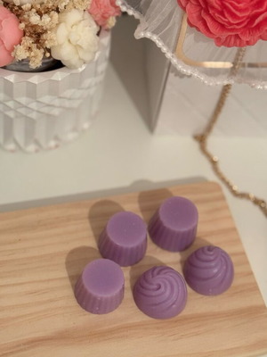 Wax melts watermelon aloe plant-based candle new