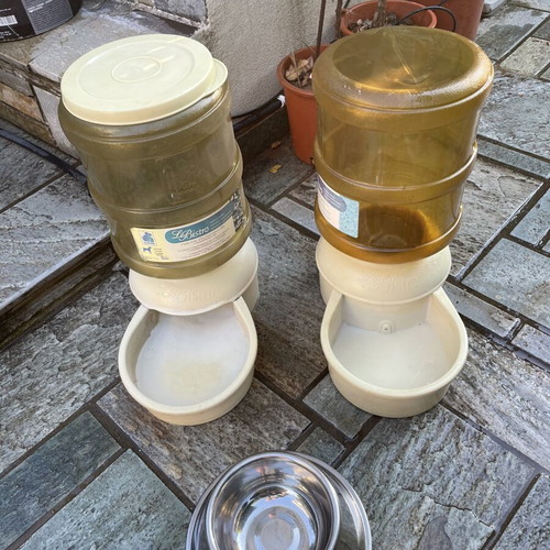 Petmate Le Bistrot Automatic Feeder and Waterer like new