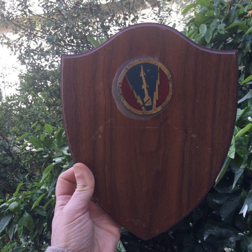 Military forces wall shield used