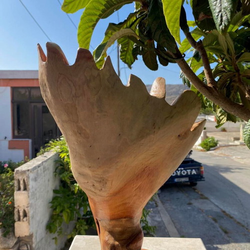 Woodcarving artwork from natural eucalyptus wood