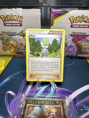 Pokemon card Trainer Wally XY Roaring Skies 2015 νέα, με θήκη