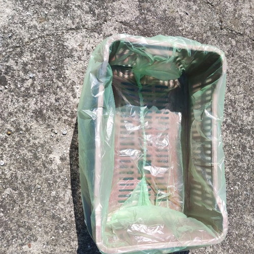 Bags for crates new, suitable for food and agricultural products