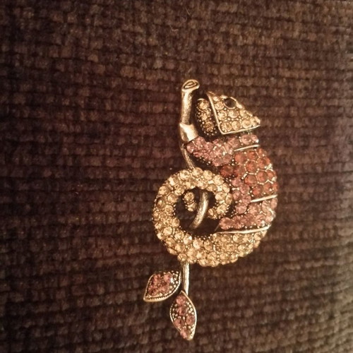 Iguana pin new