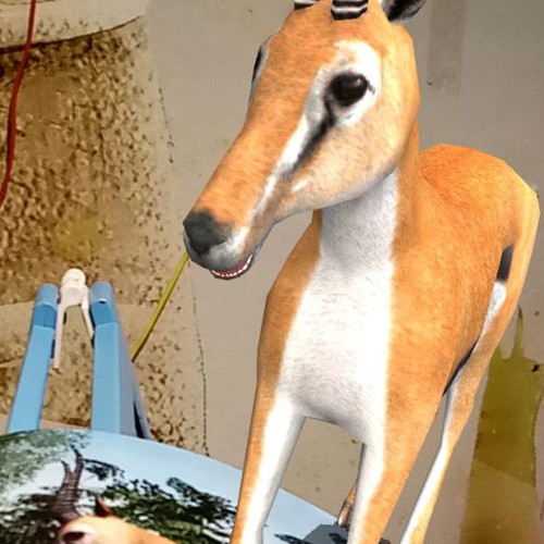 The Jungle Kings book like new with 3D animals