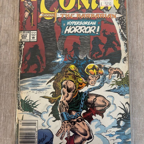 Conan the Barbarian #254 Marvel Comics used, English 1992