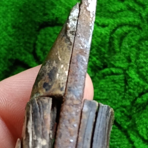 Handmade knife, possibly agricultural or shepherd's, 23.5cm