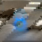  Φωτιστικό stitch
