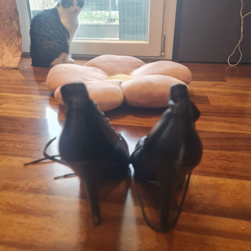 Nine West black lace-up high-heeled ankle boots used, size 40