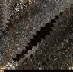 Wool and Mohair Tweed Jacket