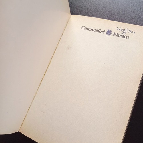 Jim Morrison Lo Spirito Il Corpo book used, Italian