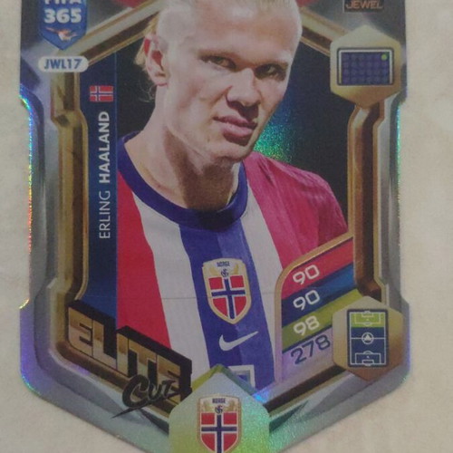 Panini 2026 Erling Haland cut in excellent condition