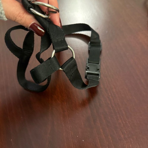 Dog harness size 4 new