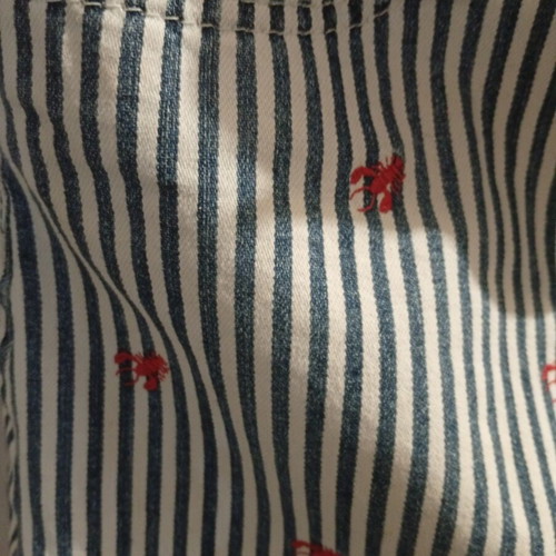 Ralph Lauren denim skirt for girls, age 10, railroad stripe with red lobsters embroidery