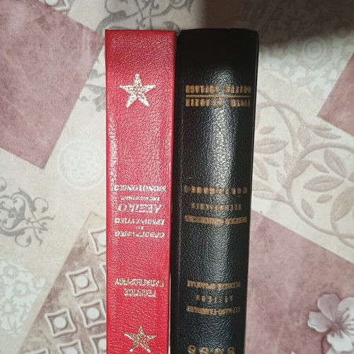 Dictionaries used, orthographic and interpretative plus German-Greek