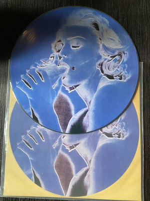 Madonna Erotica picture disc new, pop