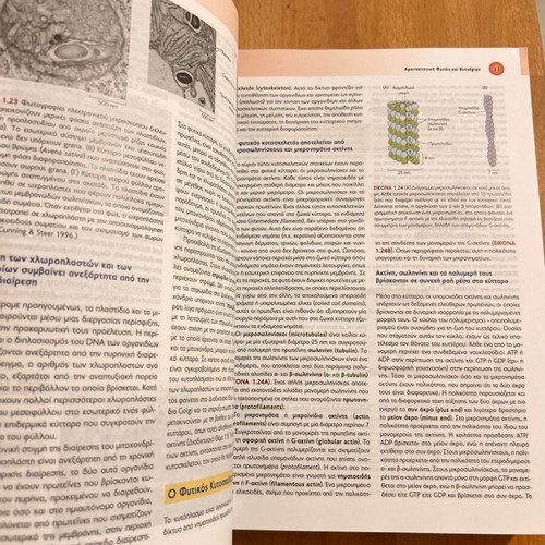 Plant Physiology and Development like new