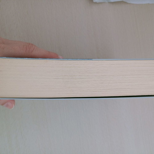 Baudolino by Umberto Eco book like new, Greek edition