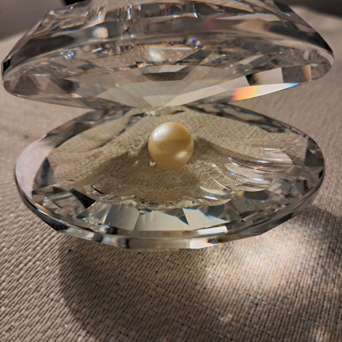 Swarovski with pearl new