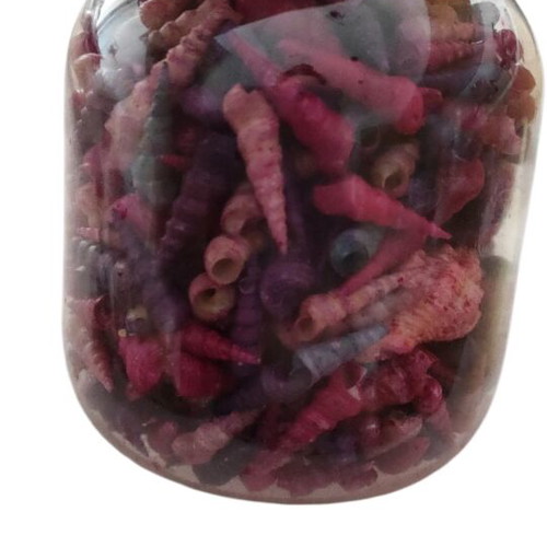 Colored seashells for crafts, like new, 470g